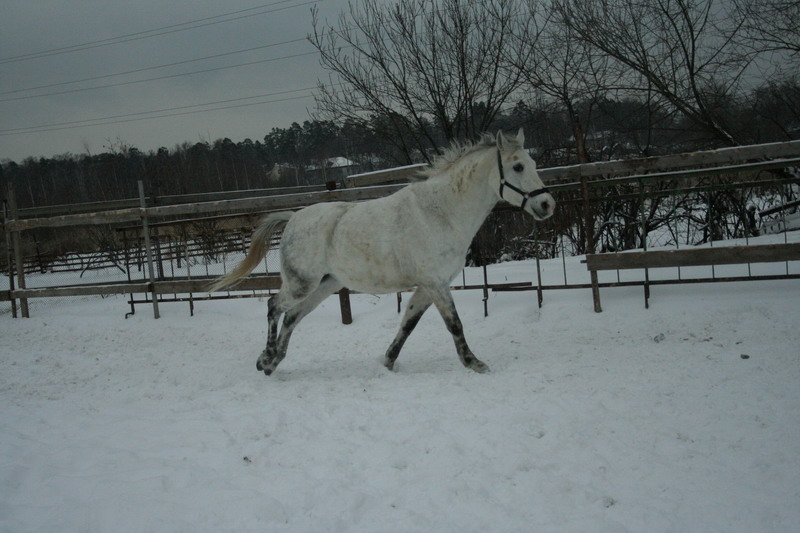 IMG_1573.jpg1.jpg"%20height="533"%20width="800